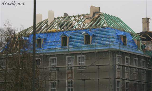 IMG_1444 (Small).JPG