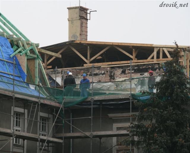 IMG_1447 (Small).JPG