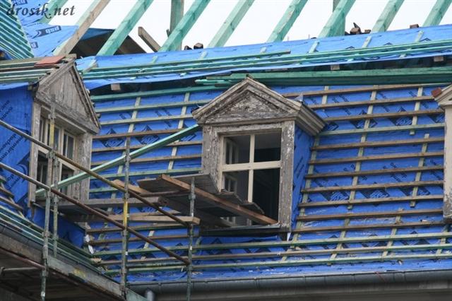 IMG_1458 (Small).JPG