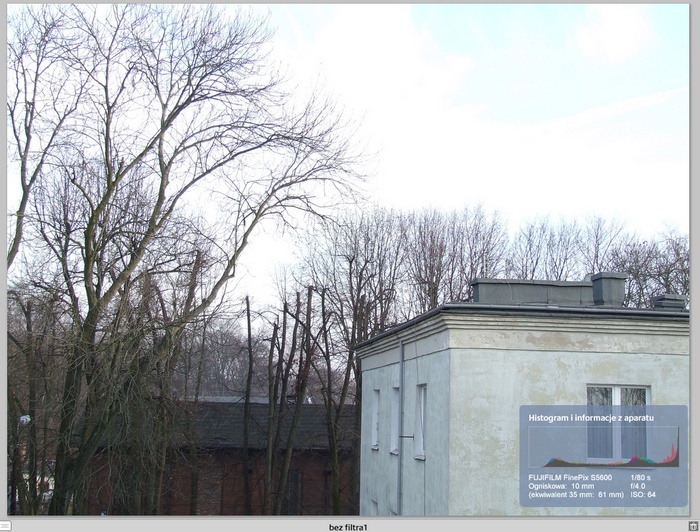 bez filtra1.jpg