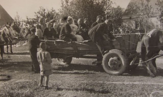 Obraz 852.jpg