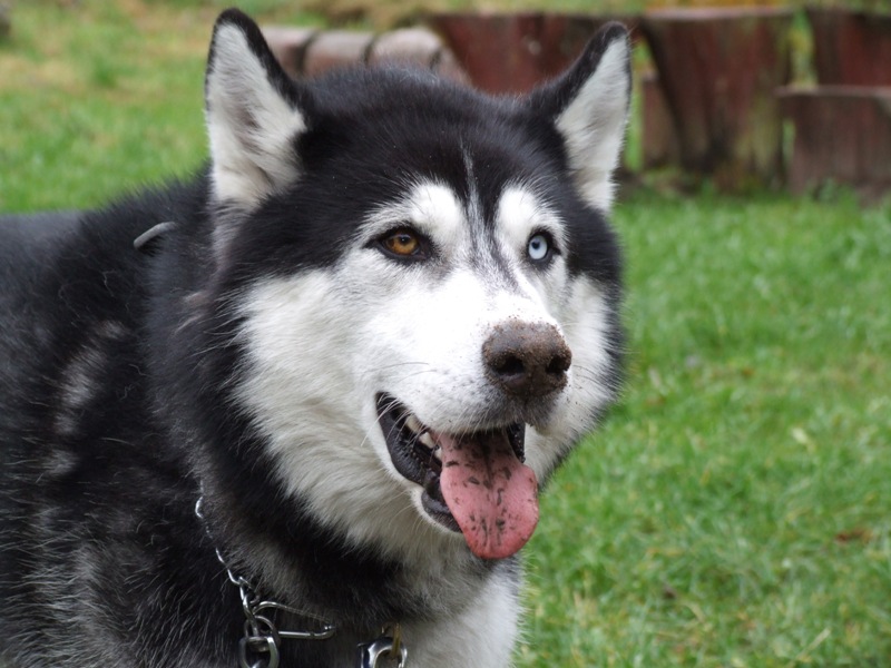 coś zjadłeem....JPG