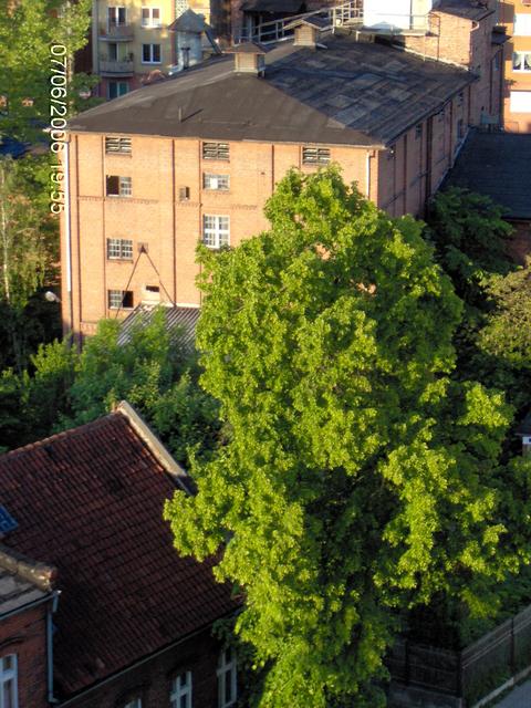 słodownia malbork.jpg