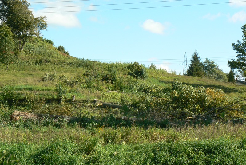 przy mostku na Marezie2.JPG