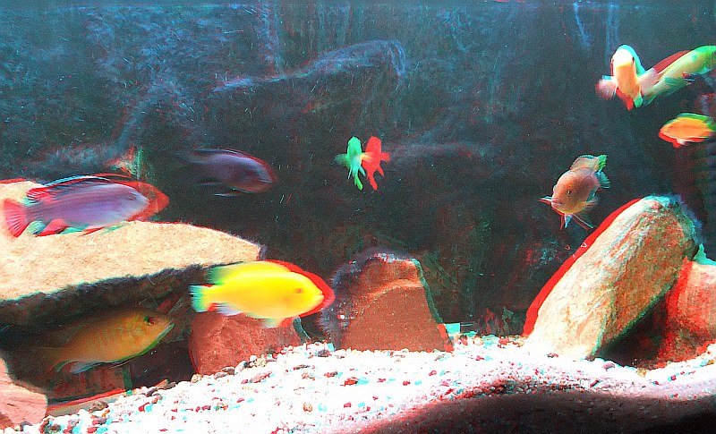 akwarium01.jpg