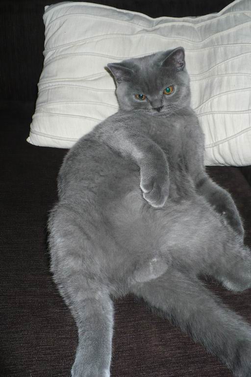 Resize of P1100933.JPG