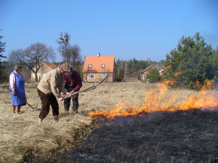 wypalanie traw 01.jpg