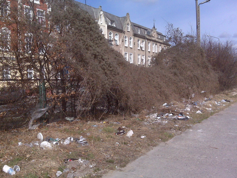 Kościuszki_śmietnisko 3.jpg