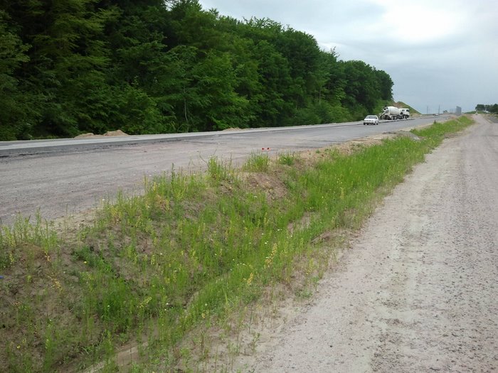 2012-06-14 14.30.01.jpg