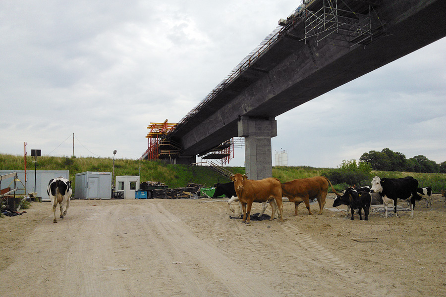 WP_20120711.jpg