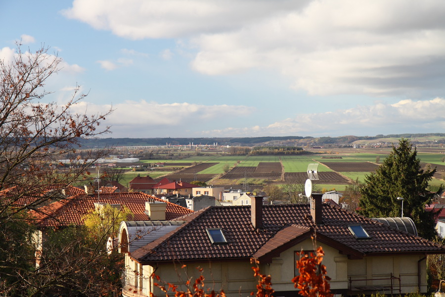 zokna01.jpg