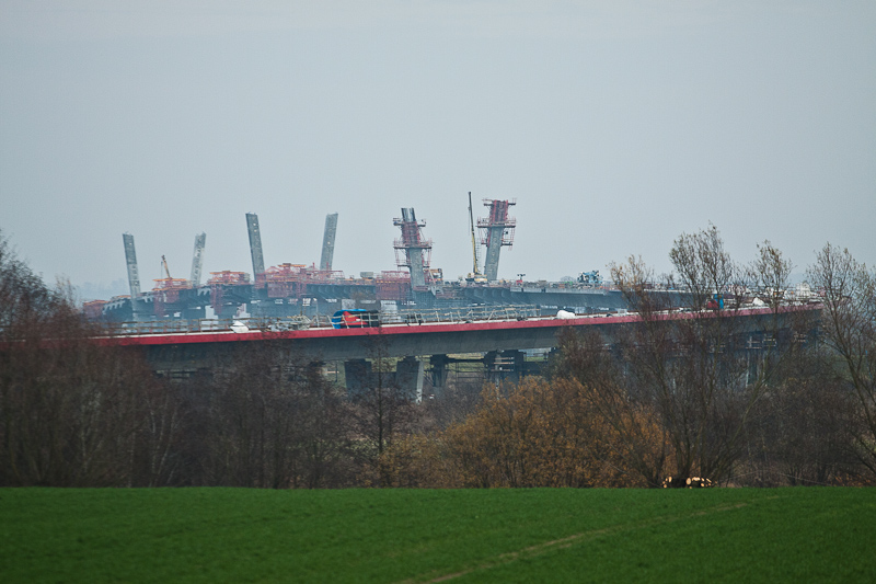 IMG_8536.jpg