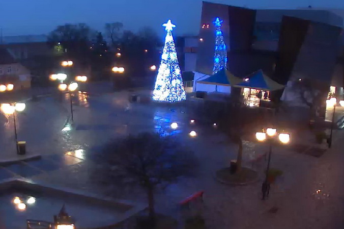 Choinka w Kwidzynie..jpg