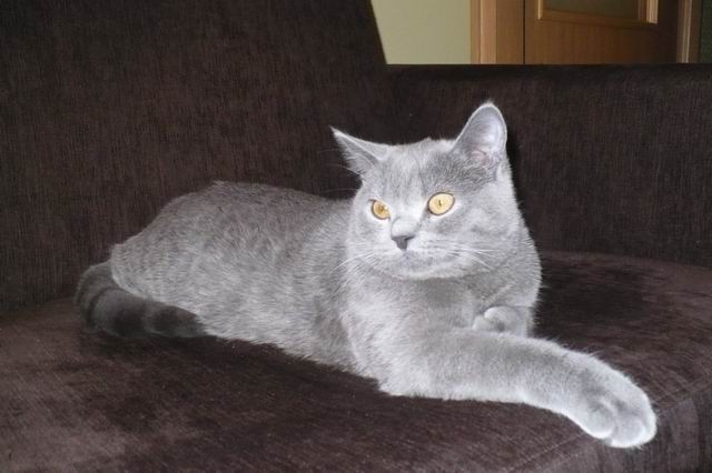 Resize of P1160080.JPG