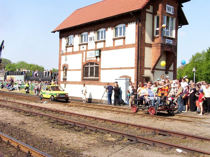 maluch szerokotorowy.jpg