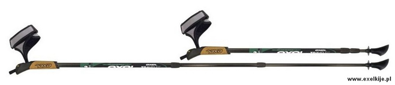 Nordic Walker TRAVELFIT regulowane 70-135 cm.JPG