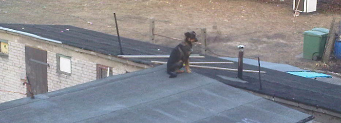 IMG-20120309-00261 kopia.jpg