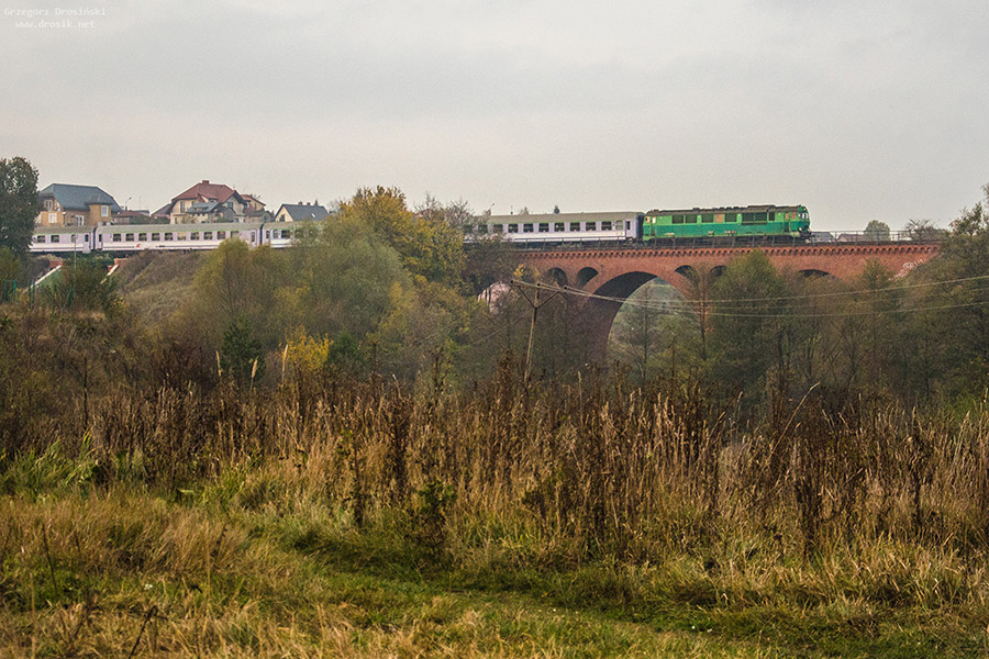 DSC_0435 kopia kopia.JPG