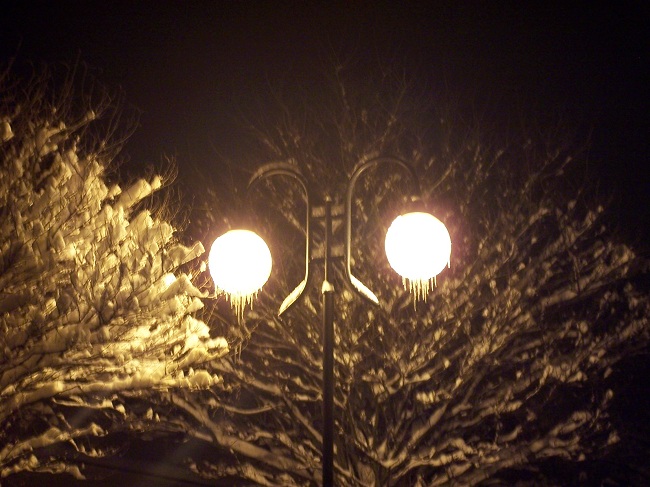 jesień 2010 054.jpg