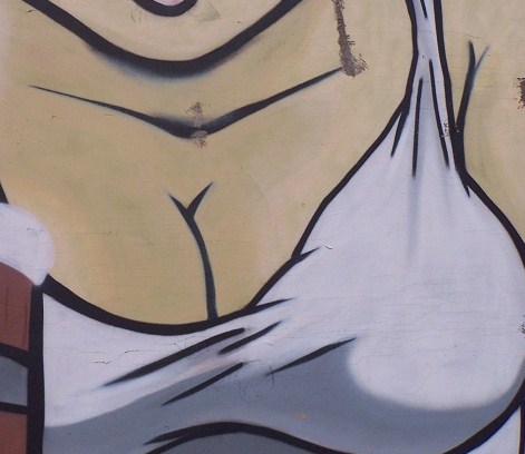 PANI JAK Z OBRAZKA - 650Kopia.jpg