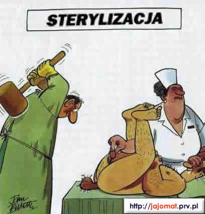 sterylizacja.jpg